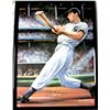Image 1 : Joe DiMaggio Autographed Photo W906