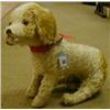 Early 20th Century stuffed straw dog £40-60