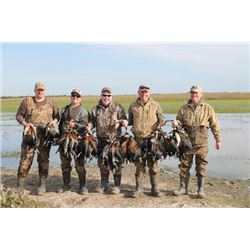 5 day Argentina Dove Hunt for 5