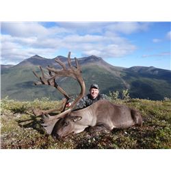 Caribou Hunt with Stan Simpson, Ram Head Outfitters