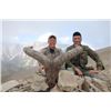Image 1 : Tur Hunt with Asian Mountain Outfitters