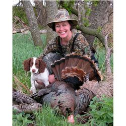 2016 Kansas Turkey hunt for a woman or youth