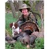 Image 1 : 2016 Kansas Turkey hunt for a woman or youth