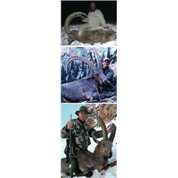 Ibex Hunt with Asian Mountain Outfitters