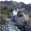 Image 1 : Tahr Hunt with Southern Mountain Adventures
