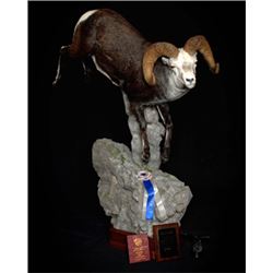 $1500 Taxidermy Credit - Big Cat Taxidermy