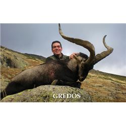Ibex hunt in Spain