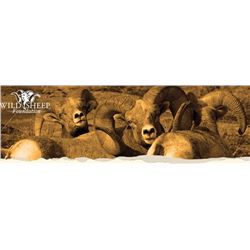 Wild Sheep Foundation Life Membership and 2 tickets for 2016 Wild Sheep Show
