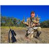 Image 1 : 4-day  / 3-night Whitetail Deer Hunt