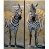 Image 1 : Two Original Oil Zebra Paintings