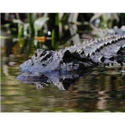 Trophy Bass Fishing Retreat