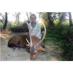 Hog Deer Hunt