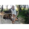 Image 1 : Hog Deer Hunt
