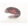 Image 1 : .50 1/2 CARAT *VERY NICE-GEM QUALITY* RED GARNET BEAUTIFUL OVAL CUT & FACETED GEMSTONE-READY FOR MOU