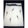 Image 1 : Zush-Evru "Rats" Embossed Lithograph