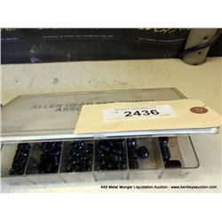 BIN: ALLEN HEAD SET SCREWS