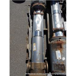 LOWARA STAINLESS PUMP WITH BRASS FITTINGS
