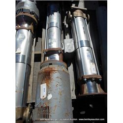 LOWARA STAINLESS PUMP WITH BRASS FITTINGS