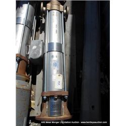 LOWARA STAINLESS PUMP WITH BRASS FITTINGS