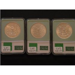 A handsome Morgan Dollar threesome