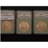 Image 1 : A Choice Morgan Dollar trio