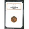 Image 1 : 1881 1C MS65 Red NGC. The centers are bright orange-gold with the margins that deepen to a rich cher
