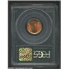 Image 2 : 1909 1C MS67 Red PCGS. A razor-sharp and highly lustrous Superb Gem that has lovely rose-gold color.
