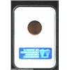 Image 2 : 1928-D 1C MS65 Red NGC. A lustrous red Gem that has a bold strike and immaculate surfaces. Struck fr
