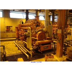 WAUKESHA GENERATOR 7042-G