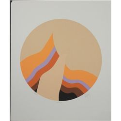 Doug Danz Signed Abstract Print Proof Phoenix VI