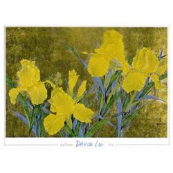 David Lee Art Prtin Yellow Iris