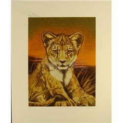 Marty Katon Signed Art Print Lion Cub Artist Proof