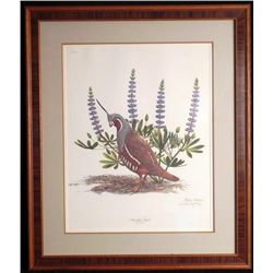 Ray Harm Limited Edition Framed Print