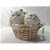 Image 1 : KITTENS IN A BASKET COVERED CERAMIC COOKIEJAR