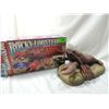 Image 1 : ROCKY THE SIGNING LOBSTER