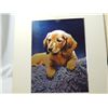 Image 2 : LOT 6 MATTED ARTWORK FOIL PRINTS