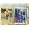 Image 2 : LOT 13 1990S ASSORTED HOCKEY PLAYER CARDS
