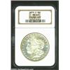 Image 3 : 1879-S S$1 MS68 NGC. The cheek of Liberty is smooth and rounded with no obvious or distracting abras