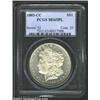 Image 1 : 1885-CC S$1 MS65 Prooflike PCGS. Light gold patina visits the devices, with an additional blush of r
