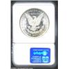 Image 2 : 1891 S$1 MS64 NGC. Wisps of dusky apricot patina enrich each side. A sharply struck and mildly proof