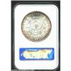 Image 4 : 1891-CC S$1 MS65 NGC. Whereas most earlier CC-mint Morgans with lower mintages are easily obtainable