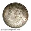Image 1 : 1896-S S$1 MS64 PCGS. Original golden-russet toning deepens around the margins of this lustrous, min