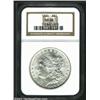 Image 1 : 1900 S$1 MS66 NGC. This is a richly frosted and virtually pristine Gem. The silver-white features ar