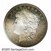 Image 1 : 1891 S$1 PR64 Cameo PCGS. This is an attractive and solidly graded near-Gem. First, the toning. Warm