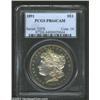 Image 3 : 1891 S$1 PR64 Cameo PCGS. This is an attractive and solidly graded near-Gem. First, the toning. Warm