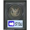 Image 4 : 1891 S$1 PR64 Cameo PCGS. This is an attractive and solidly graded near-Gem. First, the toning. Warm
