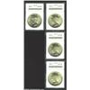 Image 1 : 1925 S$1 MS65 ANACS, four examples, all are lustrous and have light yellow-green patina. Three coins