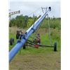 Image 3 : BRANDT GRAIN AUGER