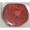 Image 1 : 39.05 CARAT *HUGE-NATURAL* RED SPONGE CORAL GEMSTONE *HOLED FOR JEWELRY*!! GEM CAME OUT OF SAFE!!