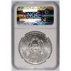 Image 4 : 2013 ( W ) AMERICAN SILVER EAGLE, NGC MS-70